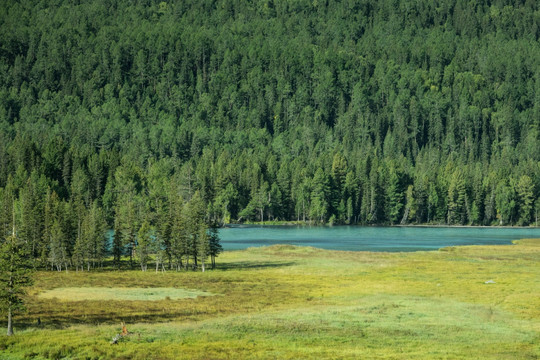 喀纳斯景区神仙湾碧水青山秋色