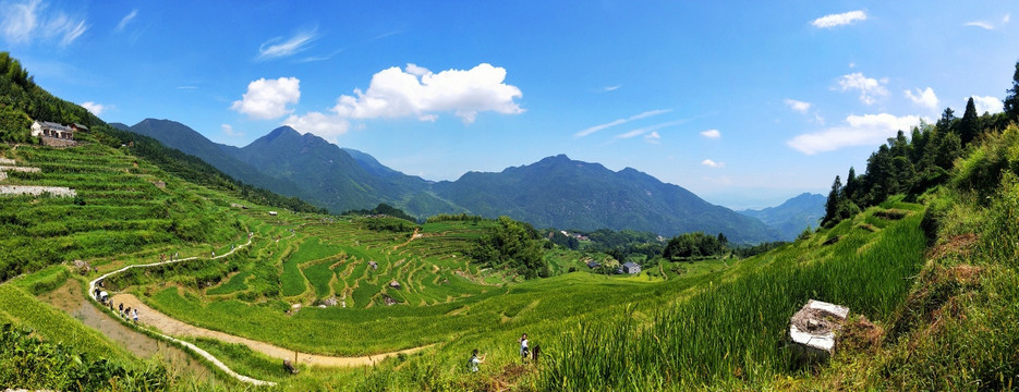 云和梯田全景图