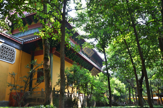 杭州灵隐寺云林禅寺