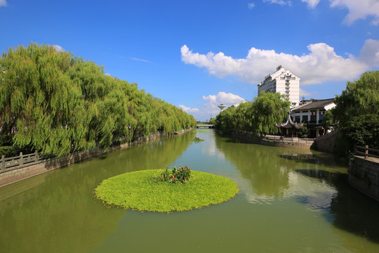 乌镇 五水共治后的河