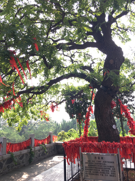 烟台山景区