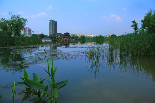 长沙洋湖湿地公园