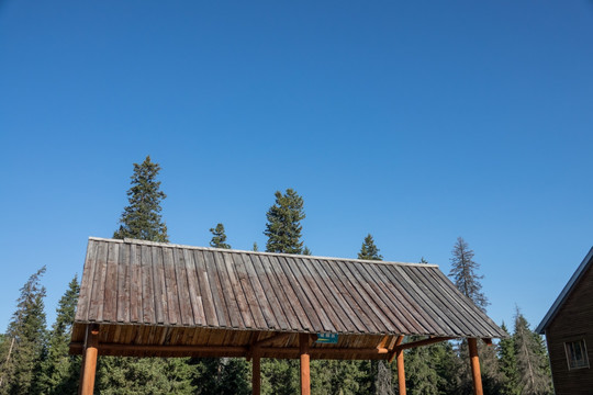 蓝天下的木屋顶和树梢