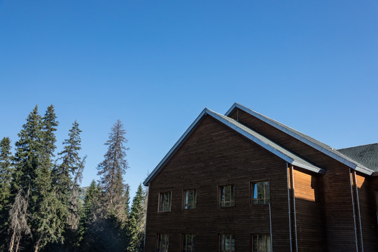 蓝天下的木屋顶和树梢