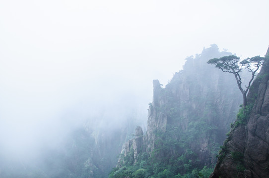 黄山美景