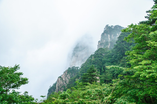 黄山美景