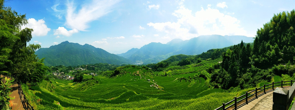 云和梯田 全景图