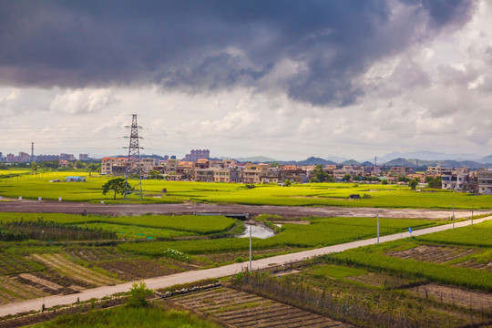 汕尾陆丰市城东街道炎围村