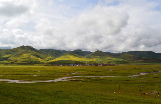 桑科草原