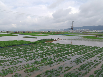 农田水灾