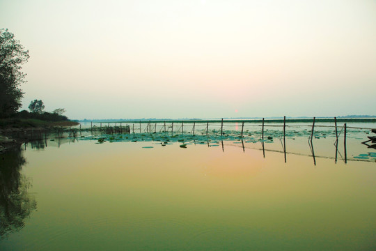 阳澄湖大闸蟹养殖基地