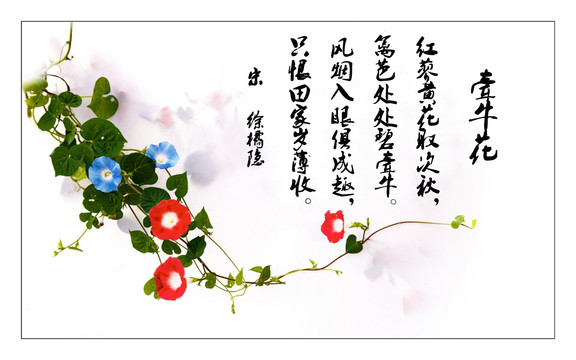 牽?；? style=
