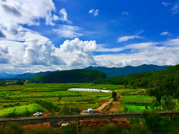 田野