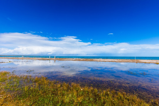 青海湖