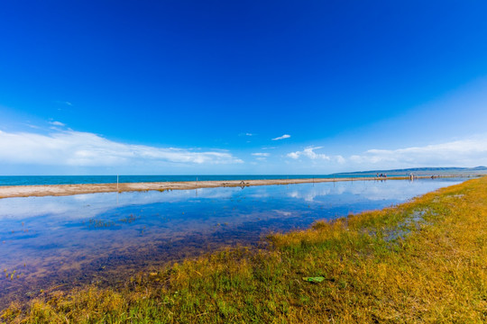 青海湖