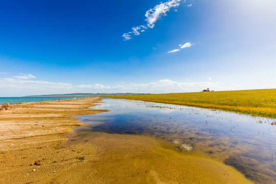 青海湖