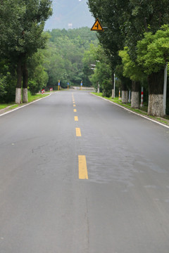 山区绿化公路