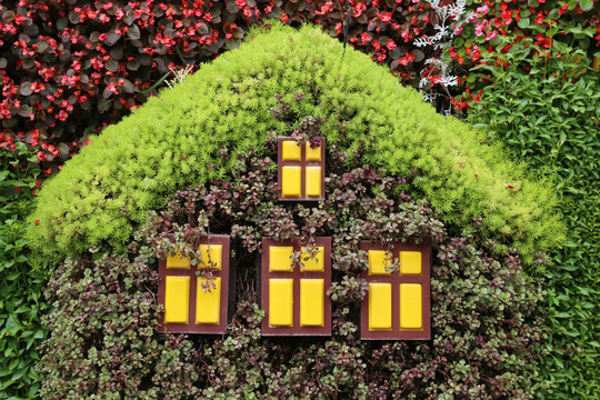 绿植房屋