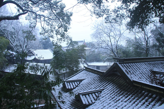 岳麓书院雪景