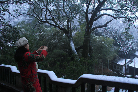 岳麓书院雪景