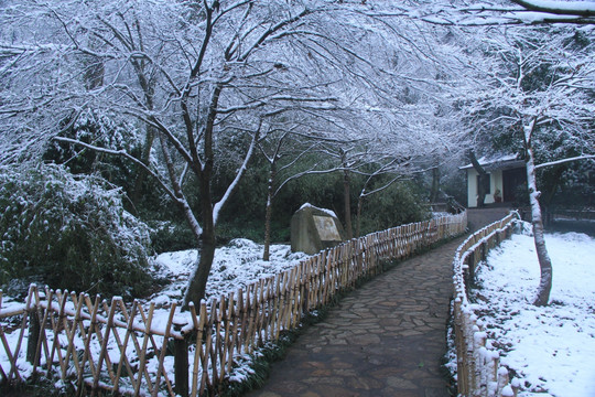 岳麓山雪景