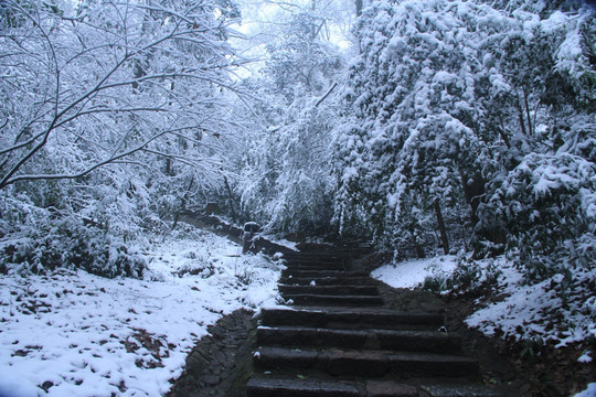 岳麓山雪景