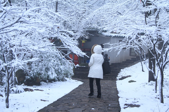 岳麓山雪景