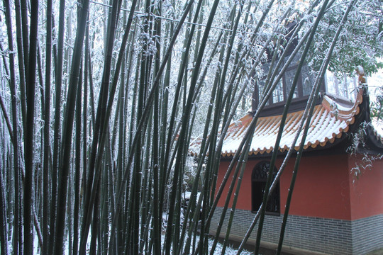 岳麓山麓山寺雪景