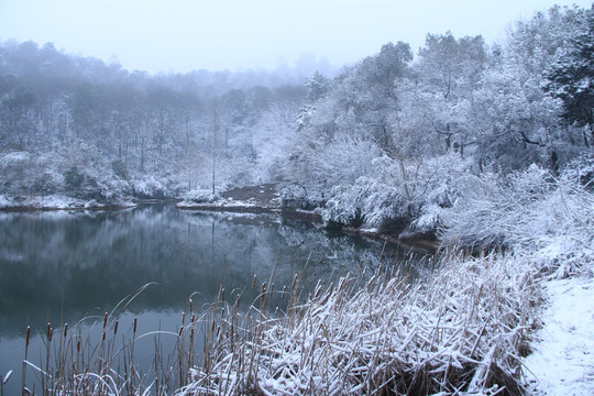 岳麓山穿石坡湖雪景