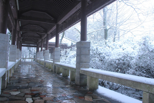 岳麓山冬天雪景