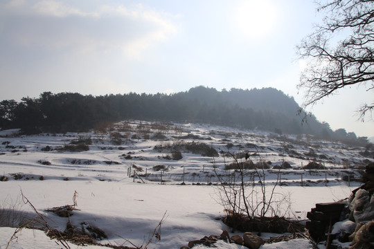 东北农村山区雪景