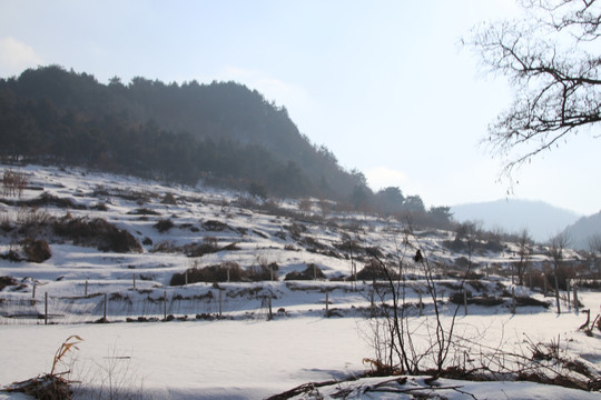 东北农村山区雪景