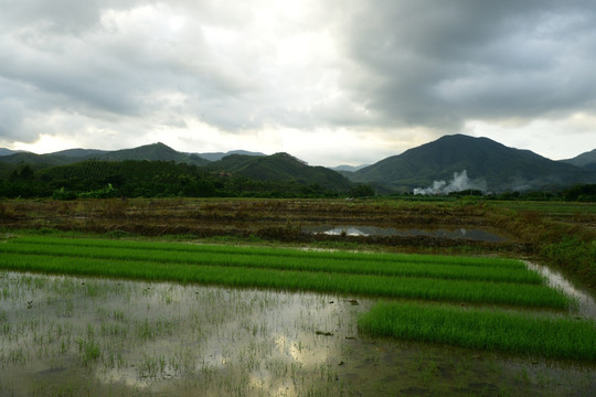 乡间地头