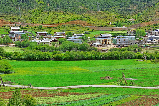 藏区新农村