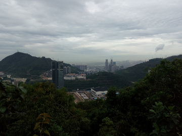 山中远望赤湾风景