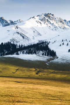 雪山