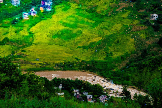 梯田 山村