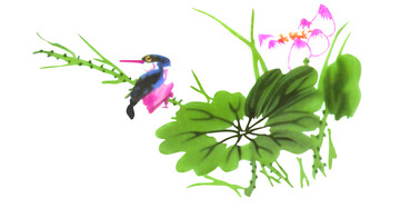 荷花鳥