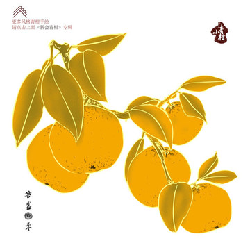 青柑 柑普茶包裝 新會(huì)青柑
