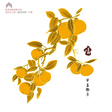 新會小青柑 青柑 柑普茶包裝