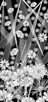 數(shù)碼印花 黑白