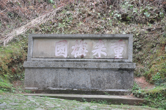 大余丫山风景重来梅园