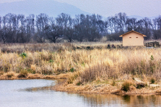 风景油画