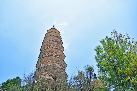 崇圣寺 崇圣寺三塔 崇圣塔