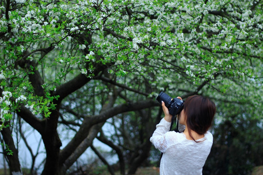 女摄影师拍花