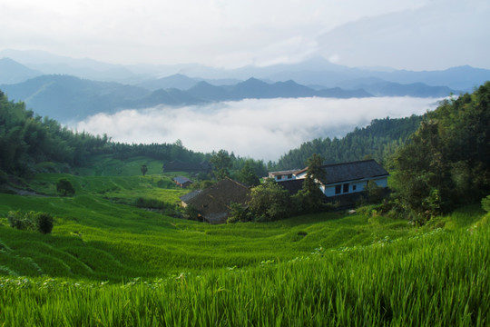 七星岭湖洋梯田风景区