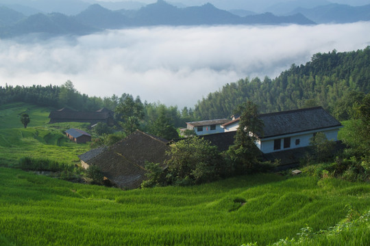 七星岭湖洋梯田风景区