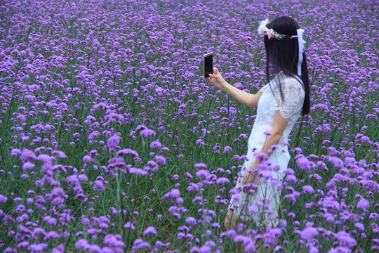 陶醉在花海中美女自拍