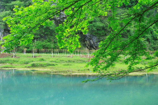 湄江风景区