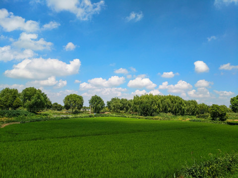 蓝天白云乡村田园